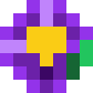 Violeta